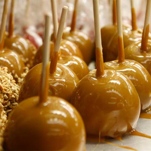 Caramel Apples