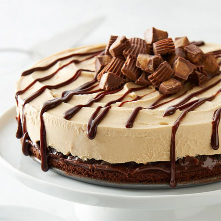 Peanut Butter Chocolate Ice Cream Cake